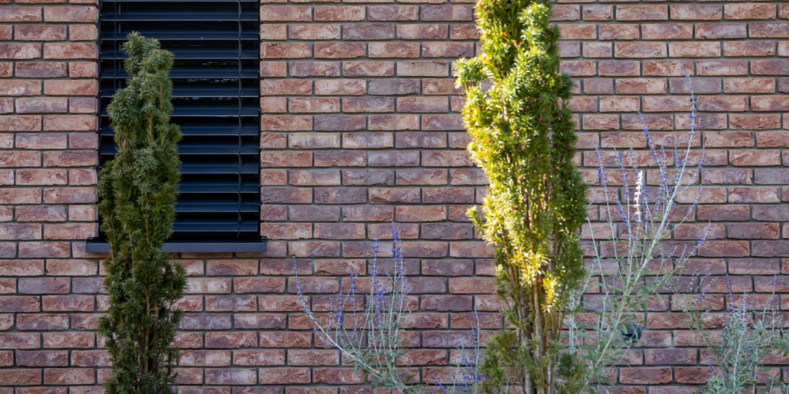 Projekty / Rodinný dom LOG - foto Projekty / Rodinný dom LOG - foto