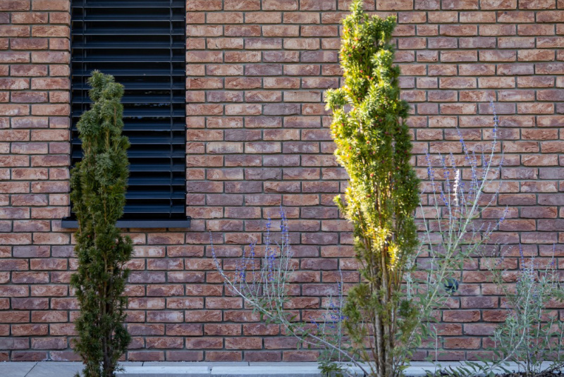 Projekty / Rodinný dom LOG - foto Projekty / Rodinný dom LOG - foto