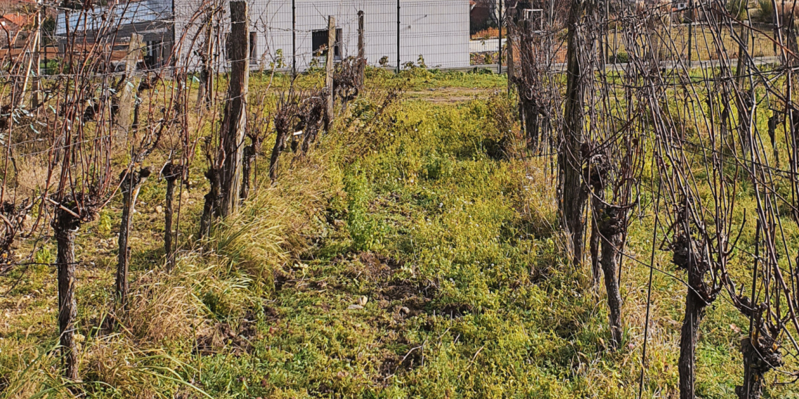 Projekty / Rodinný dom BALI - foto Projekty / Rodinný dom BALI - foto