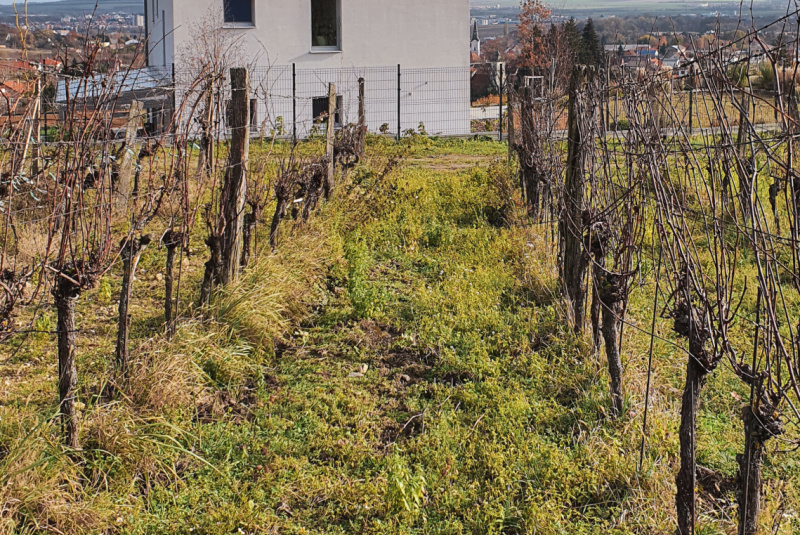 Projekty / Rodinný dom BALI - foto Projekty / Rodinný dom BALI - foto
